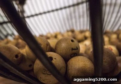 体育下注平台大乐透玩法与技巧：从基础投注到盘口策略